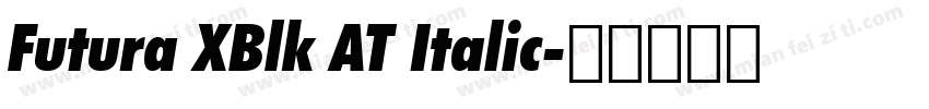Futura XBlk AT Italic字体转换